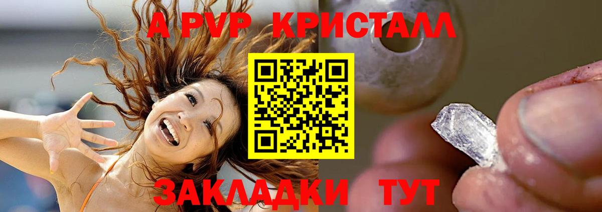 Альфа ПВП СК КРИС Обь