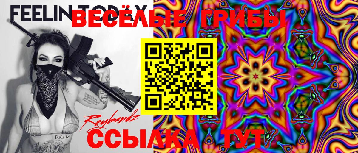 Псилоцибиновые грибы Cubensis Обь